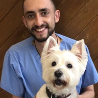 Adrian - Student Veterinary Nurse