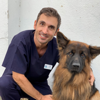 Tiago Cardoso - Senior Veterinary Surgeon