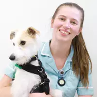 Sarah Boote - Student Veterinary Nurse