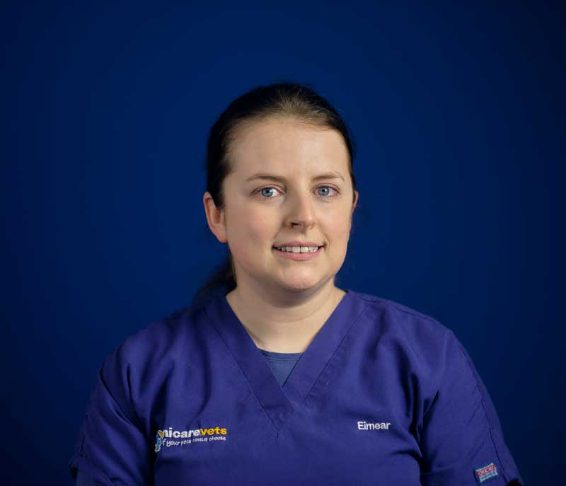 Eimear O'Brian - Registered Veterinary Nurse