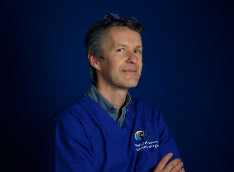 Fintan Browne - Veterinary Surgeon