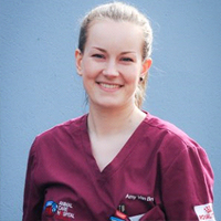 Amy van Bree - Head Veterinary Nurse