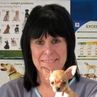 Cain Jones - Veterinary Nursing Assistant