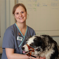 Jill Hall - Veterinary Nurse
