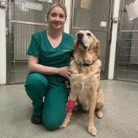 Rhiannon Holt - Registered Veterinary Nurse