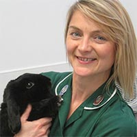 Nicky Ward - Veterinary Nurse