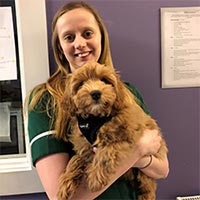 Suzanne Curtis - Registered Veterinary Nurse