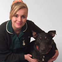 Sophie Ambrose - Registered Veterinary Nurse