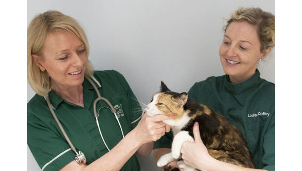 nurses and cat