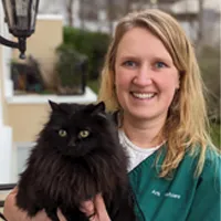 Tessa Verkade - Veterinary Surgeon