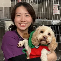 Toriana Hong - Veterinary Surgeon