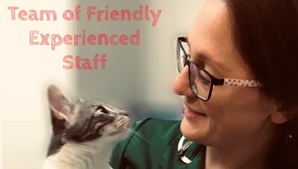 Friendly Experienced Staff
