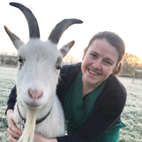 Hannah Sanderson - Veterinary Nurse