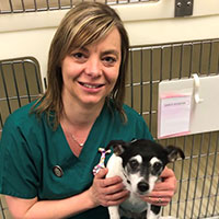 Tara Hart - Head Veterinary Nurse