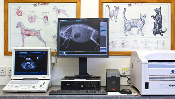 Radiography & Ultrasound Facilities
