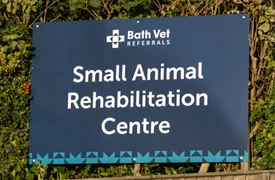 Small Animal Rehabilitation Centre