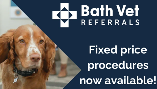 Bath Vet Referrals fixed pricing notice