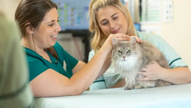 Two nurses with cat