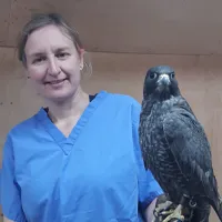 Sarah Pellett - Zoo and Wildlife Medicine