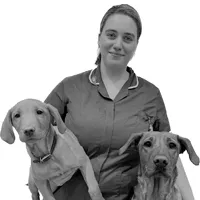 Hannah Keene - Veterinary Nurse