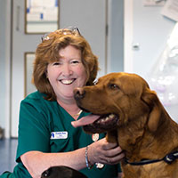 Sue Drew - Registered Veterinary Nurse