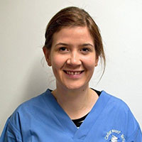 Helen Judge  - Veterinary Surgeon