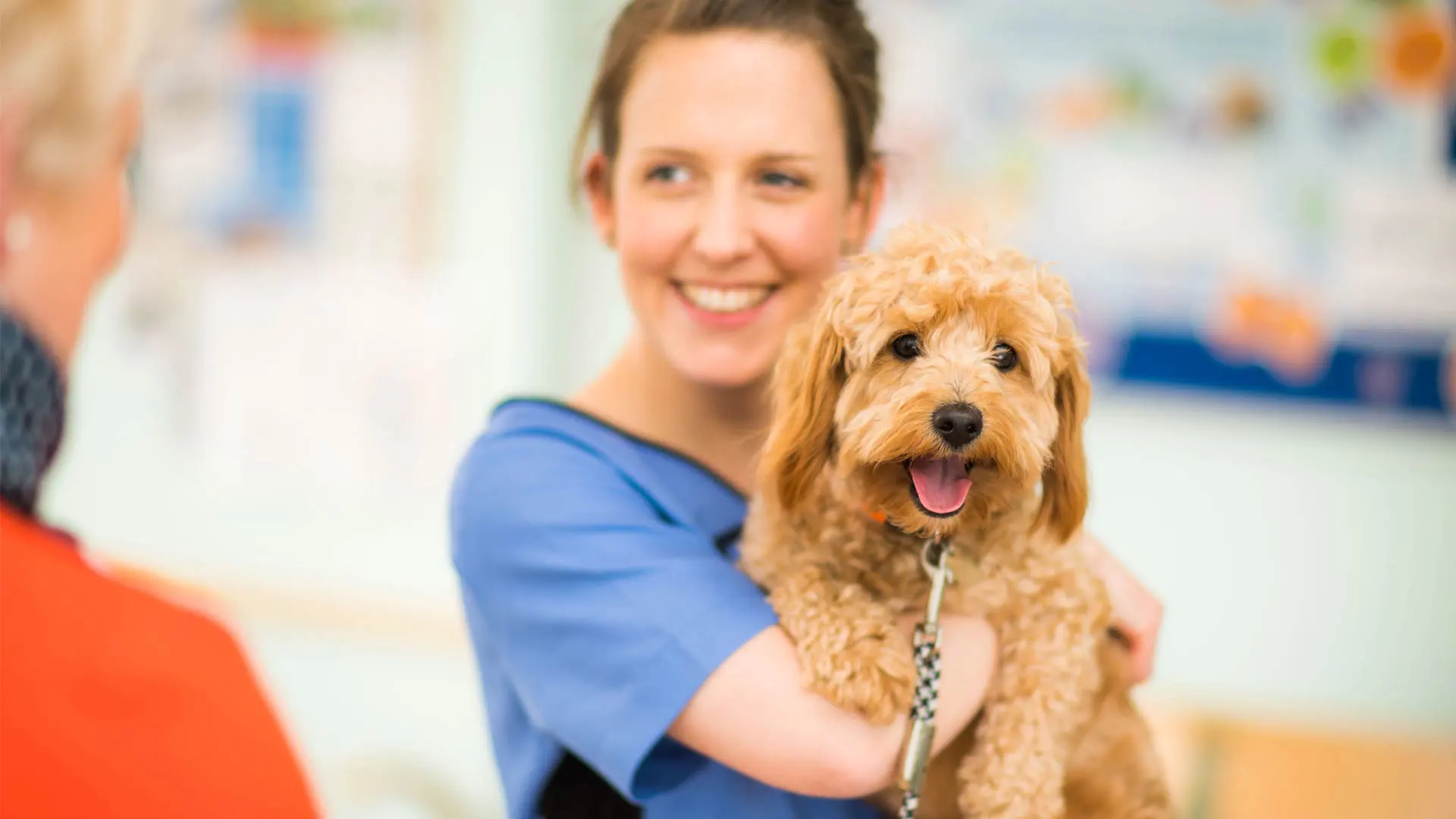 dog with nurse
