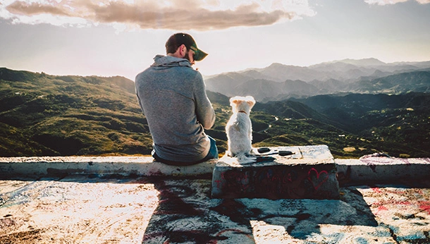 Small dog sitting with owner looking over a landscape