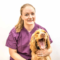 Laura - Veterinary Acupuncturist and Veterinary Surgeon