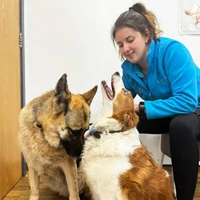 Charlotte  - Veterinary Physiotherapist