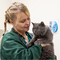Kerry - Veterinary Nurse