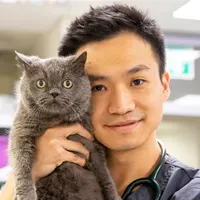 Owen - Veterinary Surgeon