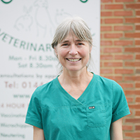 Mary Rose - Head Veterinary Nurse