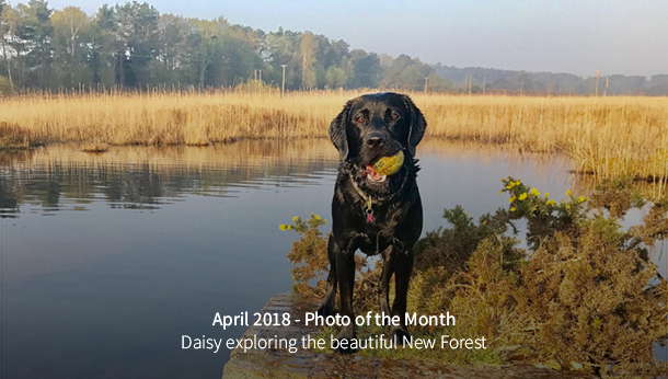 April 2018 Photo of the Month