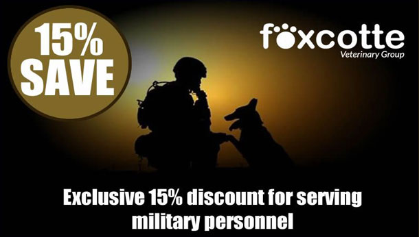 15% military discount