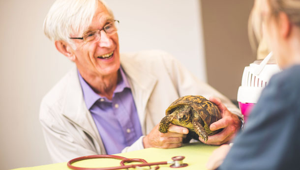 Old man visiting vet with his tortoise