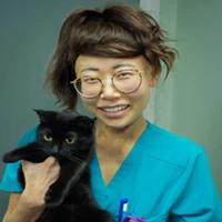 Cedar Patricia Wong  - Veterinary Surgeon