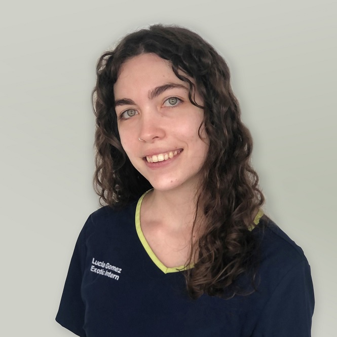 Dr Lucia Gomez - Veterinary Surgeon