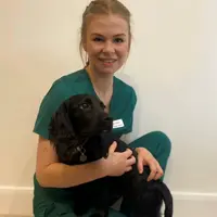 Grace Grimsey - Veterinary Surgeon