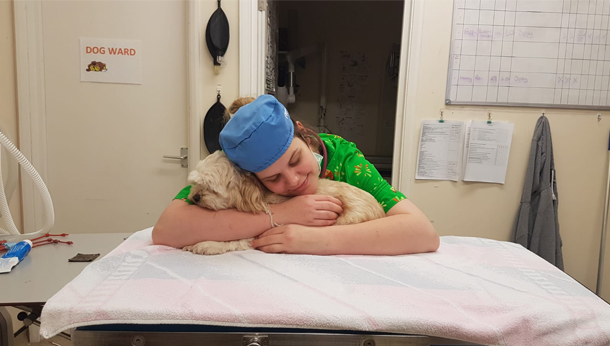 Vet with dog