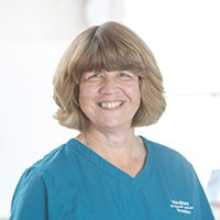 Rachel Mead - Veterinary Nursing Assistant
