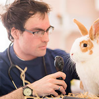 Oliver Duquemin - Clinical Director & Veterinary Surgeon