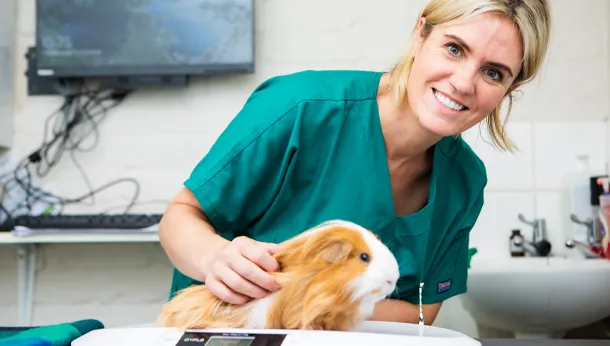 Nurse and Guinea Pig