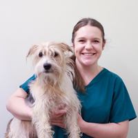 Dr Amber Stuart - Veterinary Surgeon