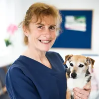 Suzanne Young - Veterinary Surgeon