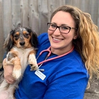 Melissa Zigler - Veterinary Surgeon