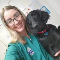 Rachel Mackay - Veterinary Nurse