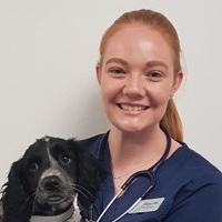 Lindsay Yates - Veterinary Surgeon