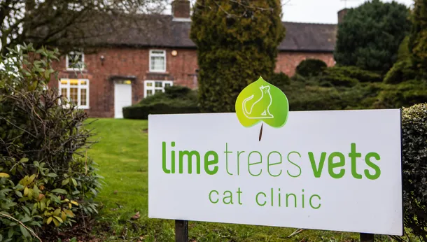 Cat Clinic Signage
