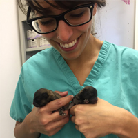 Dr Ana Pascual - Veterinary Surgeon